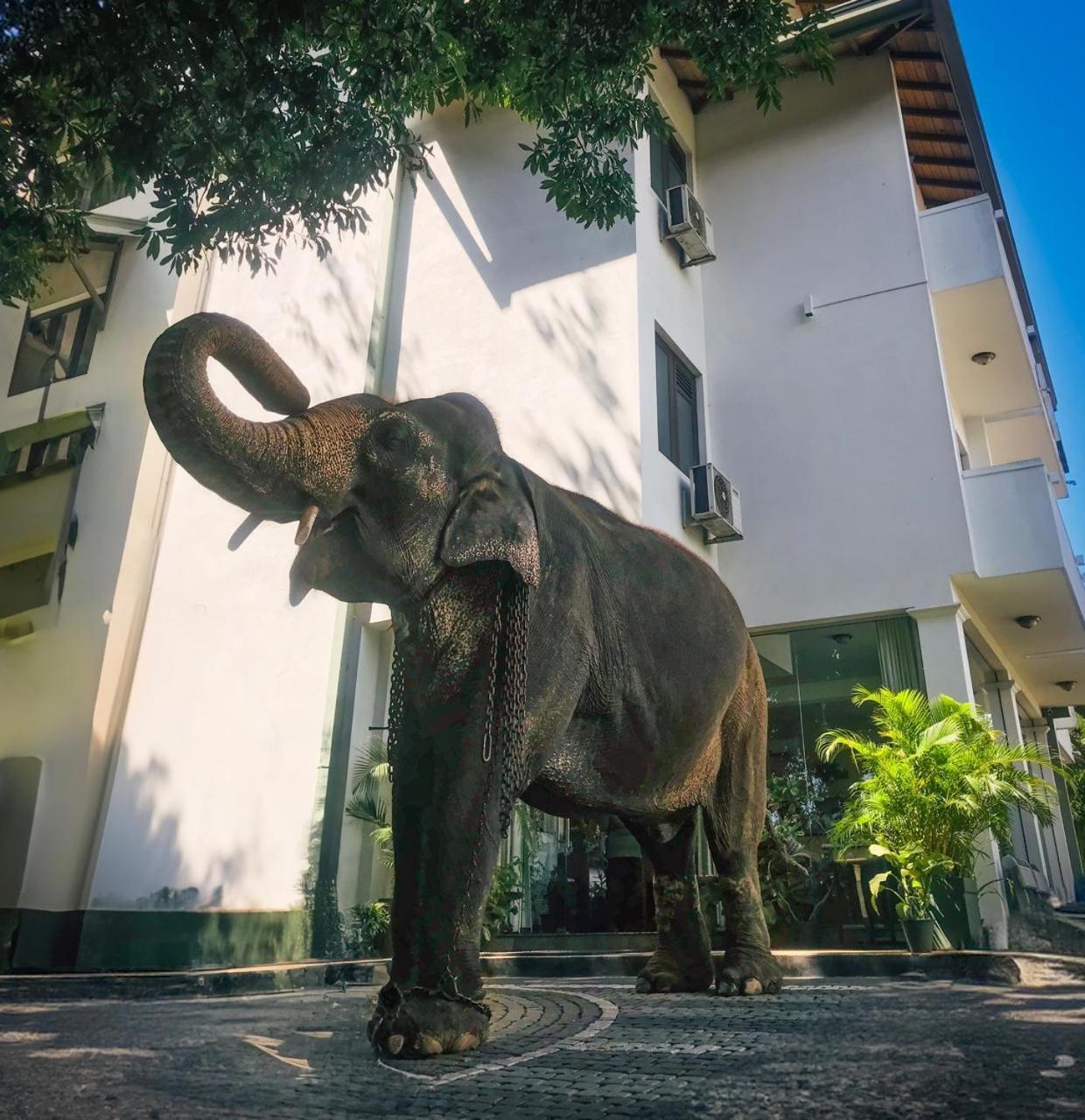 Hotel Yo Kandy Luaran gambar